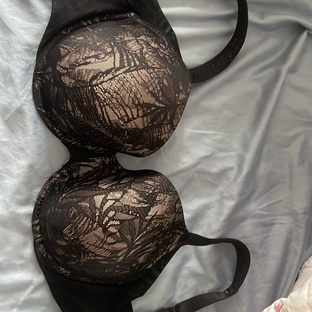 Paramour bra black and tan